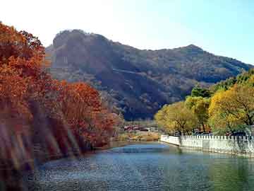 正版澳门天天开彩大全，师父搞